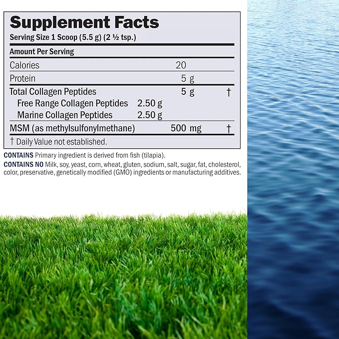 ANDREW LESSMAN Marine Free Range Collagen Peptides Powder and MSM 60 Servings - Supports Radiant Smooth Soft Skin Comfortable Joints. Super Soluble No Fishy Flavor No Additives Non-GMO