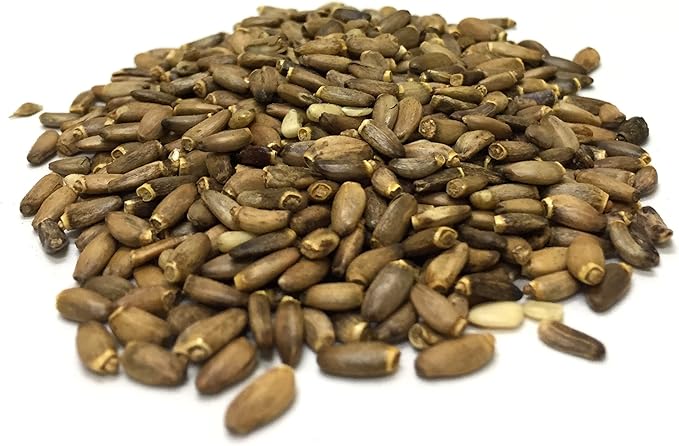 Best Botanicals Milk Thistle Seed Whole 16 oz. (Organic)