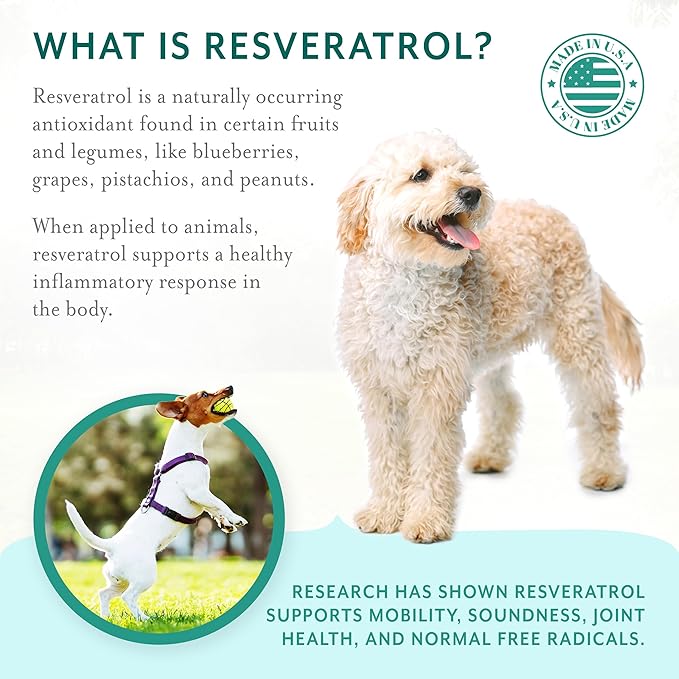 Dog Hip and Joint Support Supplement Soft Chews with Resveratrol Glucosamine Chondroitin Hyaluronic Acid Bacon Flavor Small Breed