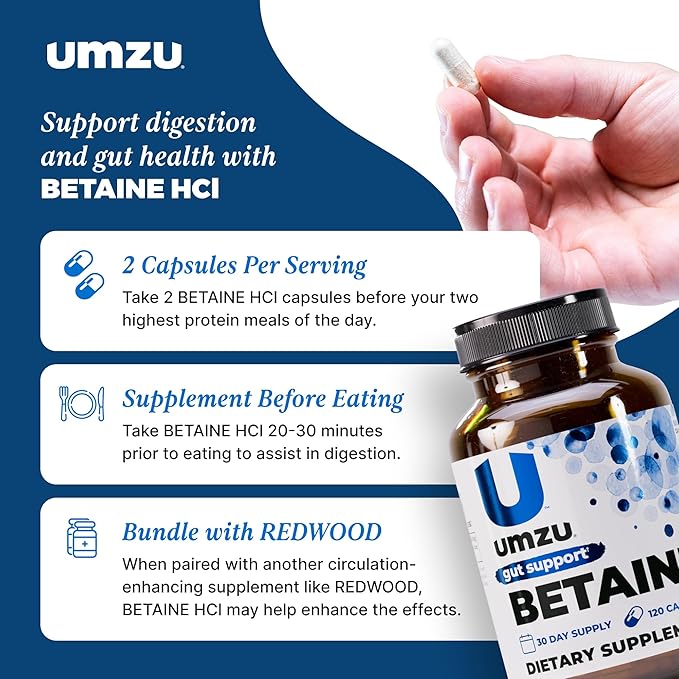 UMZU Betaine HCl Digestive Support Supplement (60 Day Supply) – with Betaine Hydrochloride Formula – Betaine HCl for Digestive Health &amp Gut Comfort Daily Digestive Wellness Support System Formula