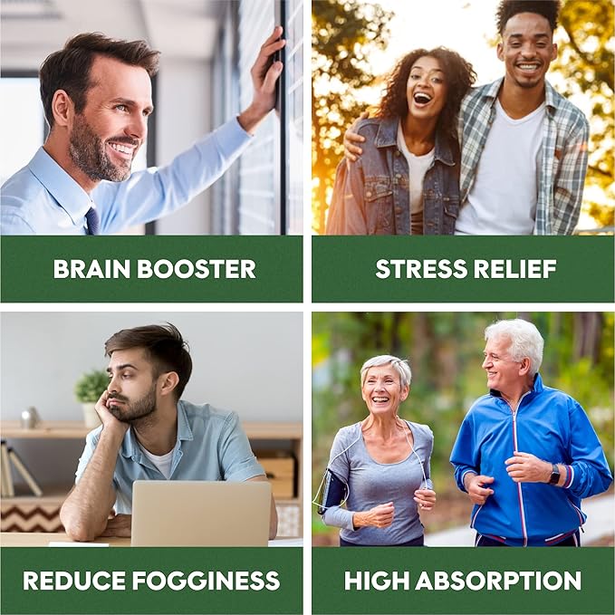 Brain Booster Nootropics - Brain Shield with Ginkgo Biloba Alpha GPC and Bacopa Monnieri Vitamin B12 B3 - Support Focus Memory &amp Clarity Energy &amp Stress Relief. (1)