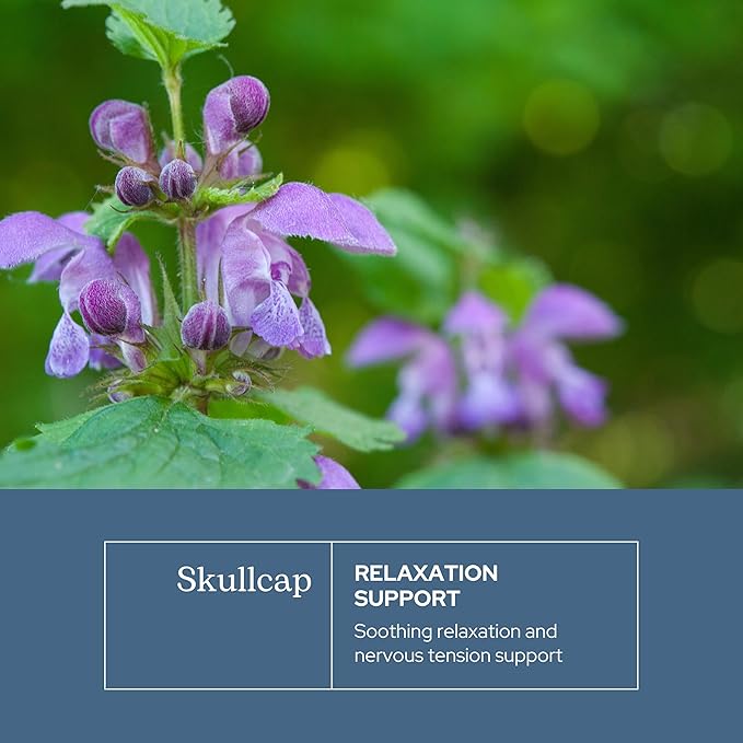 Eclectic Herb - Skullcap Capsules | Natural Sleep Calm &amp Relaxation Support | Herbal Supplement | Vegan Non-GMO Gluten Free Raw Freeze-Dried (90 CT | 350 mg)