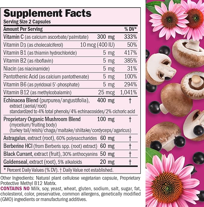 ANDREW LESSMAN Immune Factors 360 Capsules - Echinacea Goldenseal Vitamin C Astragalus Berberine Mushroom Blend Black Currant. Supports and Promotes Immune System and Natural Defenses