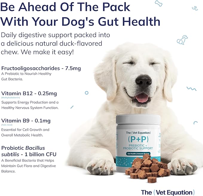 Prebiotic &amp Probiotic for Dogs – Digestive &amp Gut Health Chews – Natural Duck Flavor 90 Count – with Bacillus Subtilis Vitamin B12 &amp Folic Acid – Supports Immune &amp Digestive Health