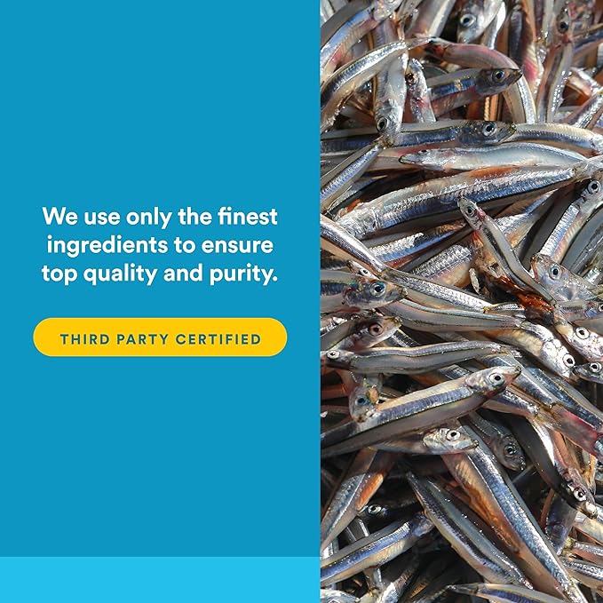 Natural Factors RxOmega-3 Fish Oil Pharmaceutical Grade 1260 mg Omega-3 Per Serving No Fishy Aftertaste 240 Count (Pack of 1)