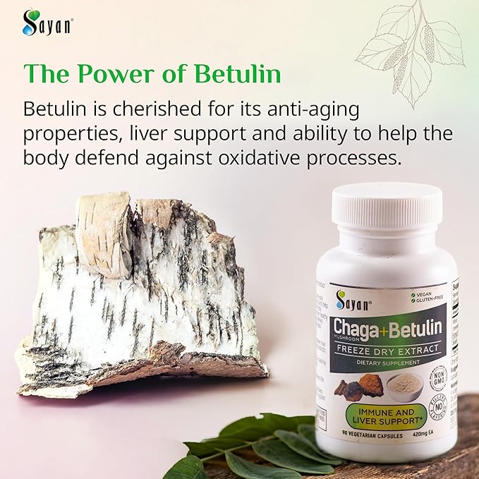 Sayan Siberian Chaga Mushroom Extract with Betulin – 90 Capsules/440mg ea – Wild-Harvested Antioxidant Blend – Immune System Support &amp Regulate Body Functions – Vegan Non-GMO No Fillers or Addit