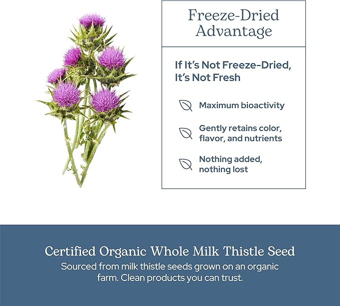 Eclectic Herb - Premium Freeze Dried Milk Thistle Capsules | Silymarin Supplement | Liver Support Detox Cleanse + Maintain | Vegan Natural Non-GMO Gluten Free (240 CT | 600 mg)