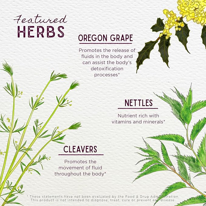 WishGarden Herbs Deep Cleanse - Plant-Based Herbal Cleansing Supplement with Organic Milk Thistle Seed &amp Burdock Root Promotes Organ Cleansing Supports Liver Kidney Lymph &amp Cellular Health