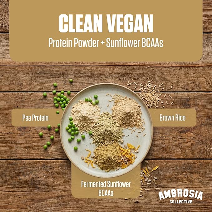 Ambrosia Plant Protein Powder 20g | Vegan Pea Protein Powder with BCAA Amino Acids | Dairy Free Keto-Friendly No Added Sugar | 25 Servings | Banana Maple