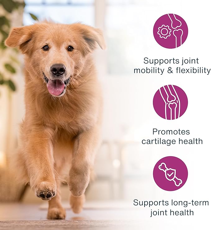 JustFoodForDogs JustFresh Boosts Hip &amp Joint Support Dog Food Toppers with Glucosamine to Support Hip Mobility &amp Joint Flexibility Human-Grade Fresh Pet Meal Booster 8 oz Pouches - 8 Pack