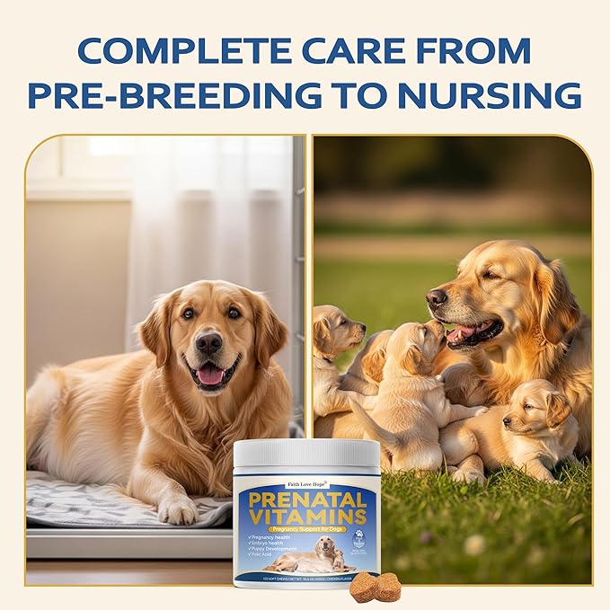Dog Prenatal Vitamins - Supports Pregnancy Wellness Puppy Growth &amp Lactation and Recovery | Riched Essential Nutrients - DHA Folic AcidIron Calcium | Advanced Multivitamin for Pregnant and Nur