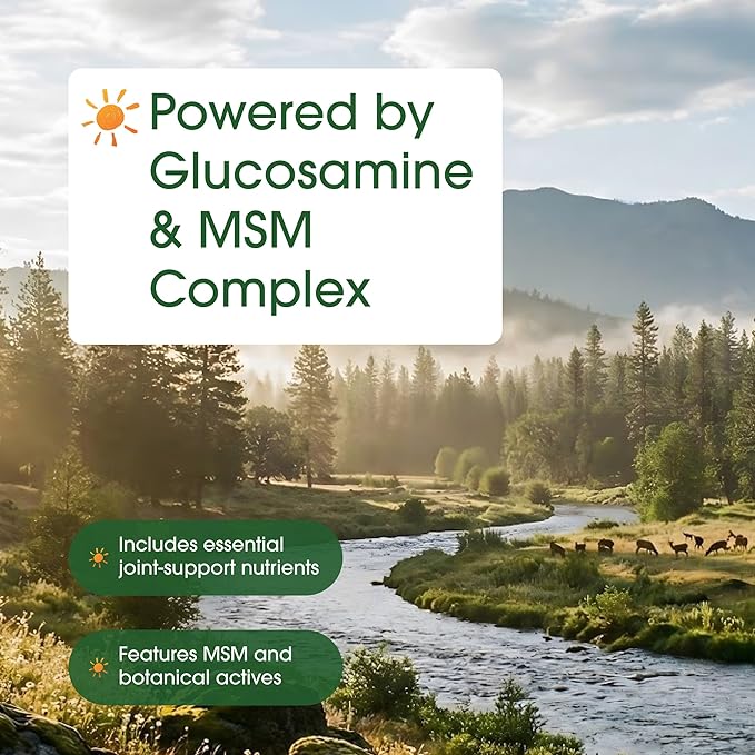 NatureBell Advanced Glucosamine Chondroitin &amp MSM - 240 Capsules - 10-in-1 Joint Support Complex* - Includes Hyaluronic Acid Turmeric Glucosamine Collagen &amp More