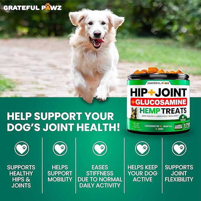 Hemp Hip and Joint Supplement for Dogs - Glucosamine for Dogs - 170 Joint Pain Relief Treats - Chondroitin MSM Hemp Oil - Advanced Health Supplement - Mobility Support Chews - Made in USA