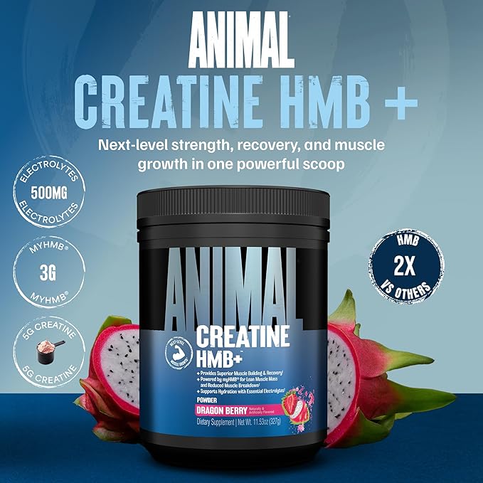 Animal Creatine HMB Powder – 3g myHMB + 5g Creatine with Electrolytes for Recovery &amp Daily Energy – Dragon Berry Flavor 30 Servings