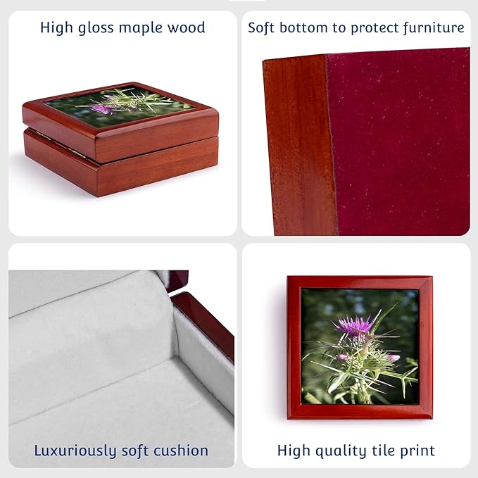 3dRose Syrian Thistle Flowerhead - Thistle flowering plants Scotland agavanos purple flower wildflower Jewelry Box jb-52666-1
