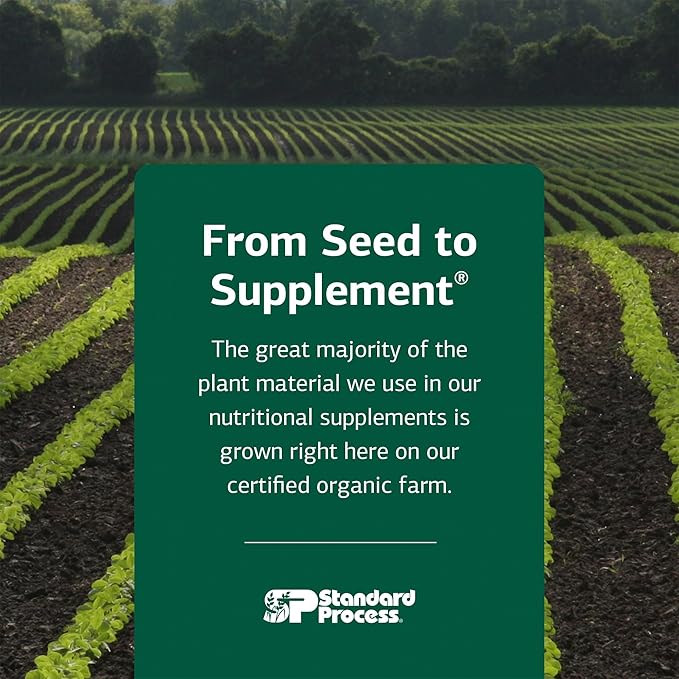 Standard Process Whole Food Folate - Supports Cellular Health &amp Processes - Includes Vitamin B12 - Supports Vascular Function - Vegetarian Gluten-Free &amp Non-Dairy - 270 Capsules (45 Servings)