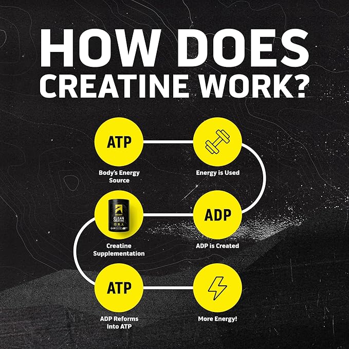 Ascent Clean Creatine Monohydrate Powder - 5G Per Serving Creapure Creatine Supplement - Unflavored 100 Servings