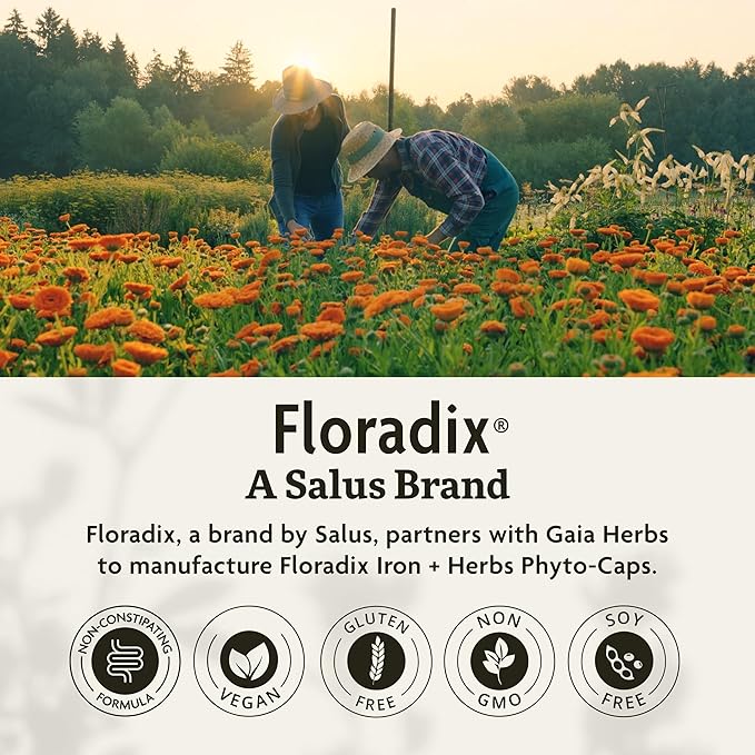 Floradix Iron + Herbs - Iron Supplement for Healthy Energy Support* &amp Gaia Herbs PRO AMPK Activator - Supports Cellular Energy - Bundle (Pack of 2)