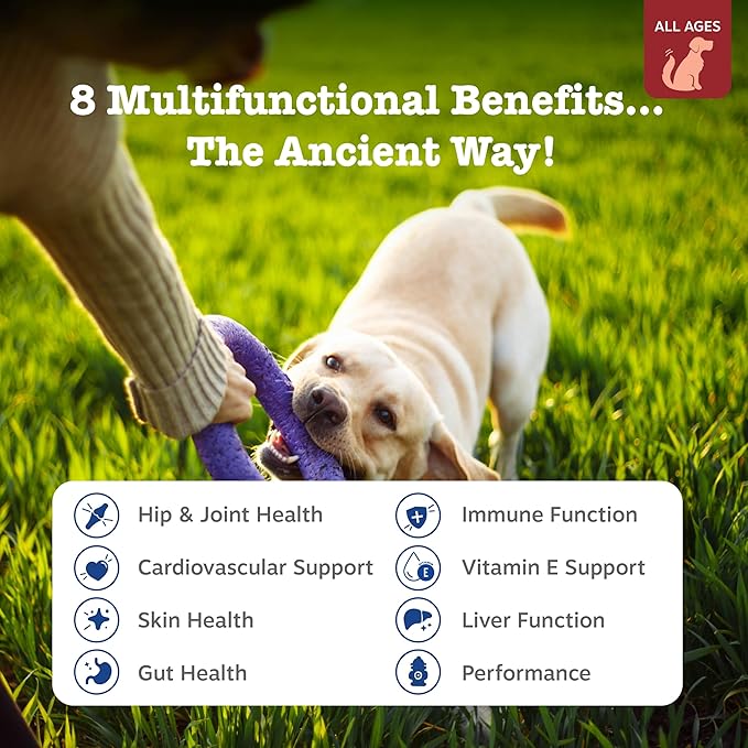 Zesty Paws Dog Multivitamin Chewable Dog Vitamins and Supplements for Hip &amp Joints Skin &amp Coat Omega 3 Fish Oil for Dogs- Senior &amp Puppy Multivitamin - Bison- 90ct