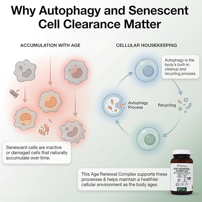 PRISTINE'S Senolytic Anti Aging &amp Autophagy Aid Age Renewal Complex - Senescent Cell Removal Support - Fisetin Quercetin Curcumin Zinc - Gluten Free Non-GMO Vegan USA Made