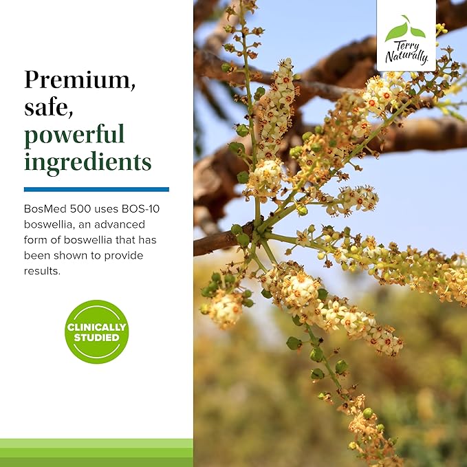 Terry Naturally BosMed 500 - Boswellia Serrata Extract Supplement - Dietary Supplement for Healthy Lung Support - Herbal Supplement Formula - 60 Softgels (Pack of 2)