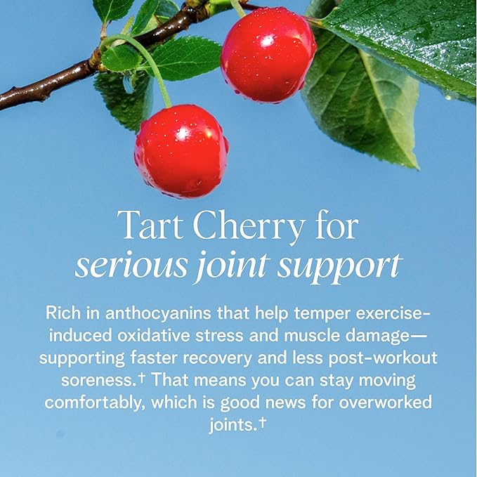 Ora Vegan Protein Powder for Lifelong Strength - 23g Per Serv - Plus Tart Cherry for Joint Health &amp ProHydrolase for Protein Absorption - Organic Gluten-Free - Vanilla Flavor 20 Servings