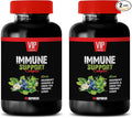 antioxidant Organic Supplement - Immune Support Complex - Natural Herbal Formula - Works Fast - Turmeric Green Tea GRAVIOLA - graviola Capsules Organic - 2 Bottle (120 Caps)