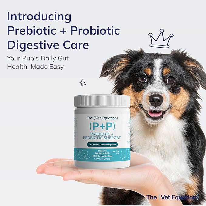 Prebiotic &amp Probiotic for Dogs – Digestive &amp Gut Health Chews – Natural Duck Flavor 90 Count – with Bacillus Subtilis Vitamin B12 &amp Folic Acid – Supports Immune &amp Digestive Health