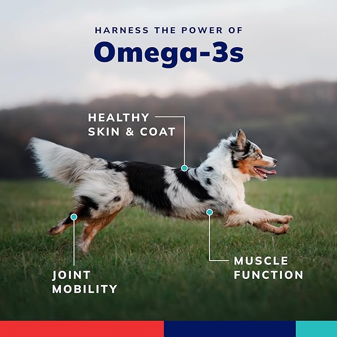 Covetrus Omega-3 Soft Gels for Large Dogs – Essential Fatty Acids with Vitamins A E &amp D3 – Skin Coat &amp Joint Supplement – 250 Count