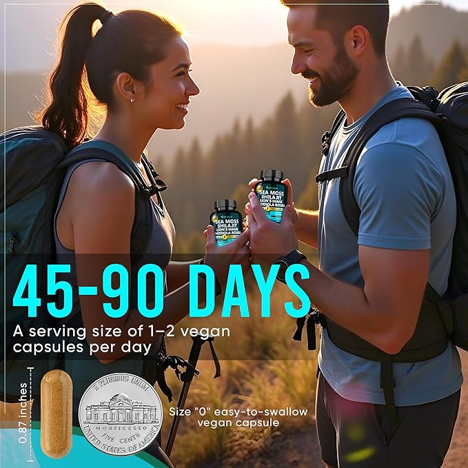 Adndale Sea Moss Capsules - Sea Moss Blend with Shilajit Lion's Mane Rhodiola &amp CoQ10-90 Count