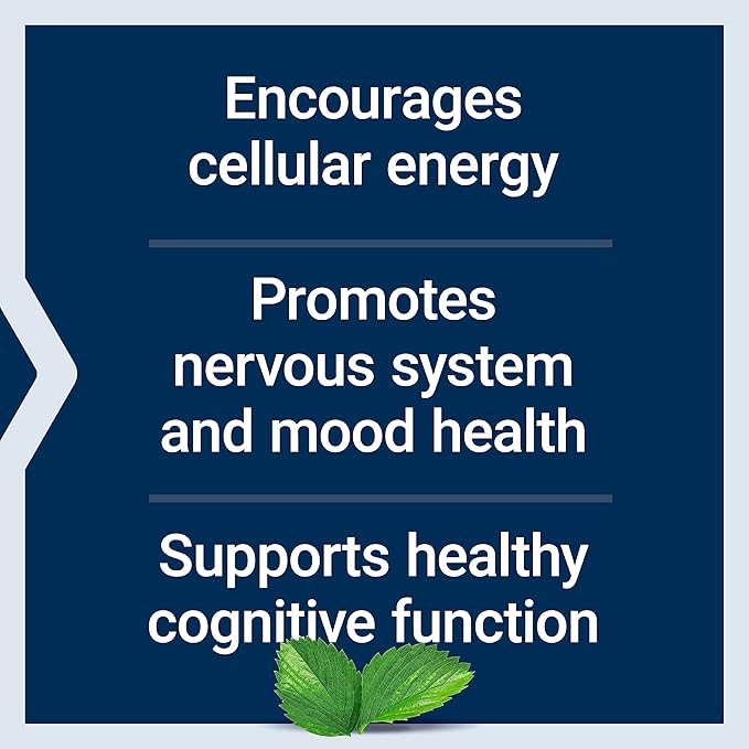 Life Extension Acetyl-L-Carnitine Acetyl-L-Carnitine Vitamin C Brain Mood &amp Nerve Health Cellular Energy 3-Month Supply Gluten-Free Non-GMO Vegetarian 100 Capsules