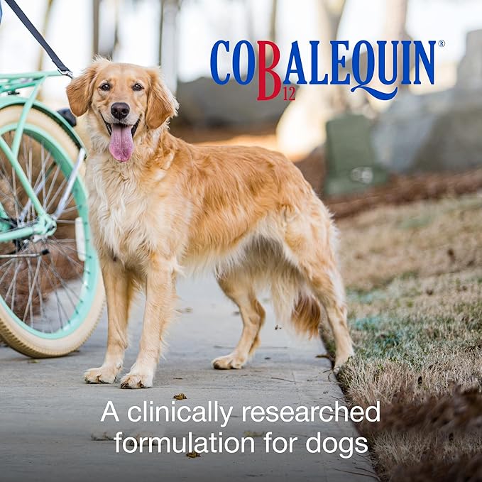 Nutramax Laboratories Cobalequin B12 Supplement for Medium to Large Dogs45 Chewable TabletsHydrolyzed Chicken2.08 Ounces(Pack of 2)