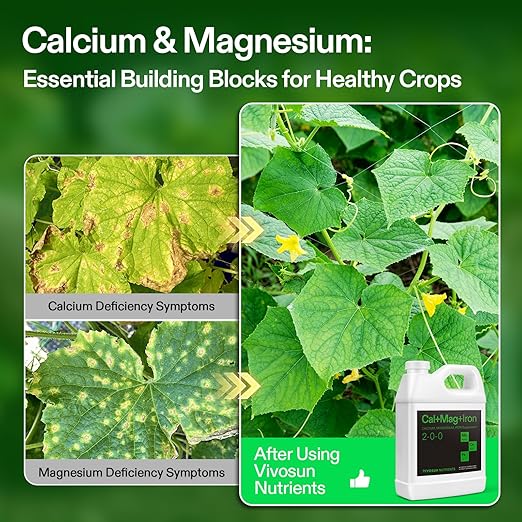 VIVOSUN Cal+Mag+Iron (2-0-0) Calcium Magnesium &amp Iron Supplement Liquid Nutrient Fertilizer for All Plants Concentrated Plant Food for Soil/Soilless Cultivation Hydroponics 1 Quart