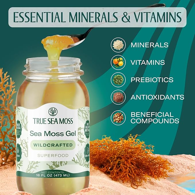 TrueSeaMoss Sea Moss Gel – Made in USA – Wildcrafted Seamoss &amp Jarred Vegetables – Original Pack of 3 (Labels may Vary)