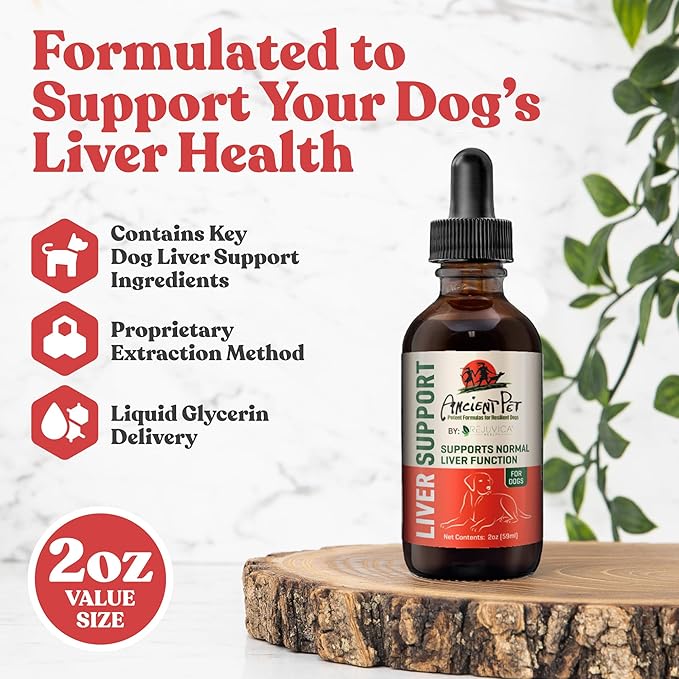 Milk Thistle for Dogs | Ancient Liver Support for Your Pets | Supports Healthy Liver Function with Dandelion &amp Artichoke | Natural Herbal Detox Formula Quick Absorption Easy to Mix with Food &am
