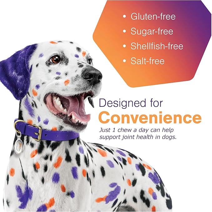 MOVOFLEX Joint Support Supplement for Dogs - Hip and Joint Support - Dog Joint Supplement - Hip and Joint Supplement Dogs - 120 Soft Chews for Small Dogs (By Virbac)