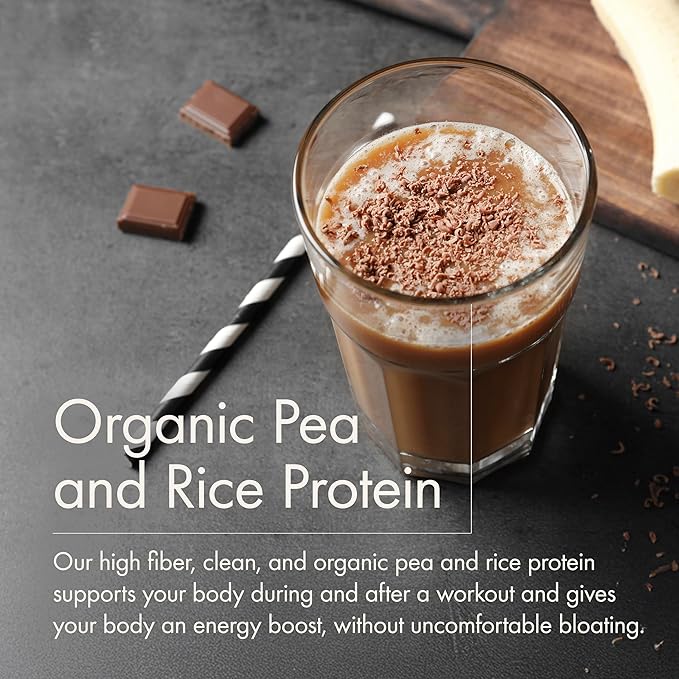 WelleCo Plant-Based Chocolate Protein Powder Organic Brown Rice &amp Pea Blend 16g Protein per Serving Dairy-Free Supplement for Energy Recovery &amp Daily Nutrition 10.5 oz