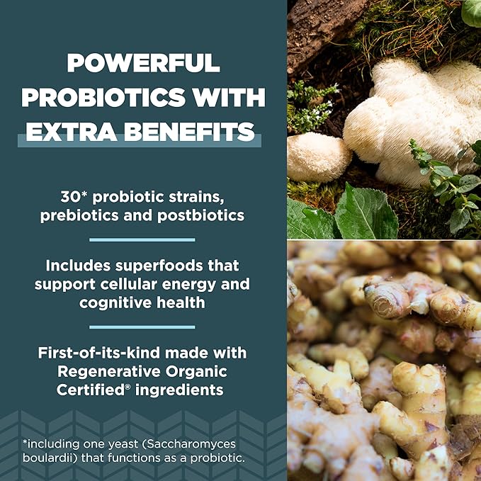 Ancient Nutrition Regenerative Organic Certified Extra Strength Probiotics Capsules 60 Count + Bone Broth Protein Powder Vanilla 20 Servings