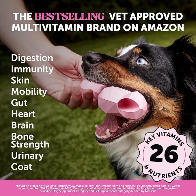 10-in-1 Dog Multivitamin Supplement with Glucosamine &amp Probiotics - Hip &amp Joint Support Digestive Health Immune Support Heart &amp Skin - All-in-One Daily Vitamins &amp Omega-3s (Peanut B