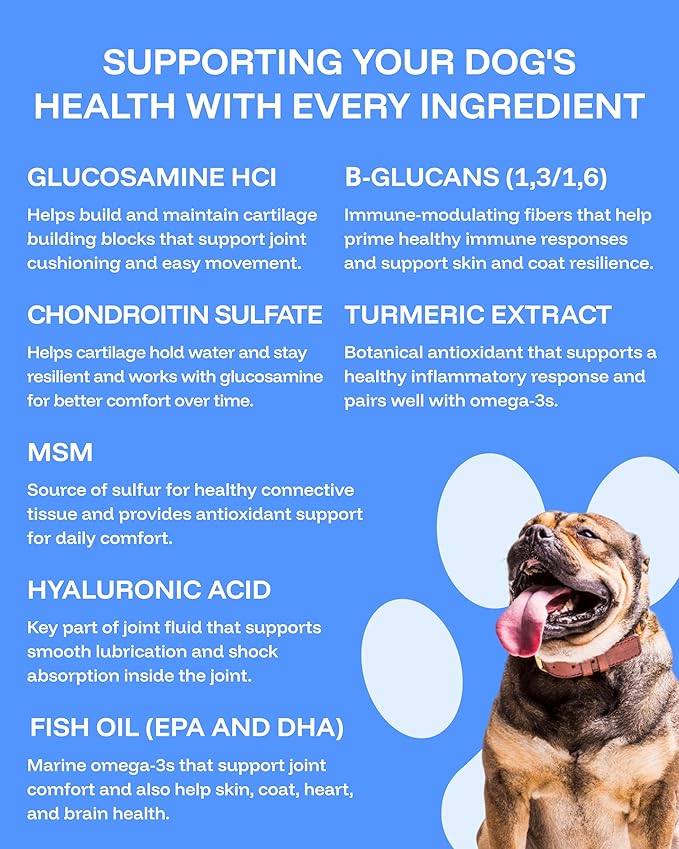 Pawprint Wellness Protocol Liquid Multivitamin for Dogs – All‑in‑One Hip &amp Joint Skin &amp Coat Immune &amp Heart Support – Dog Vitamins with Glucosamine Chondroitin MSM Omega‑3 Fish Oil –