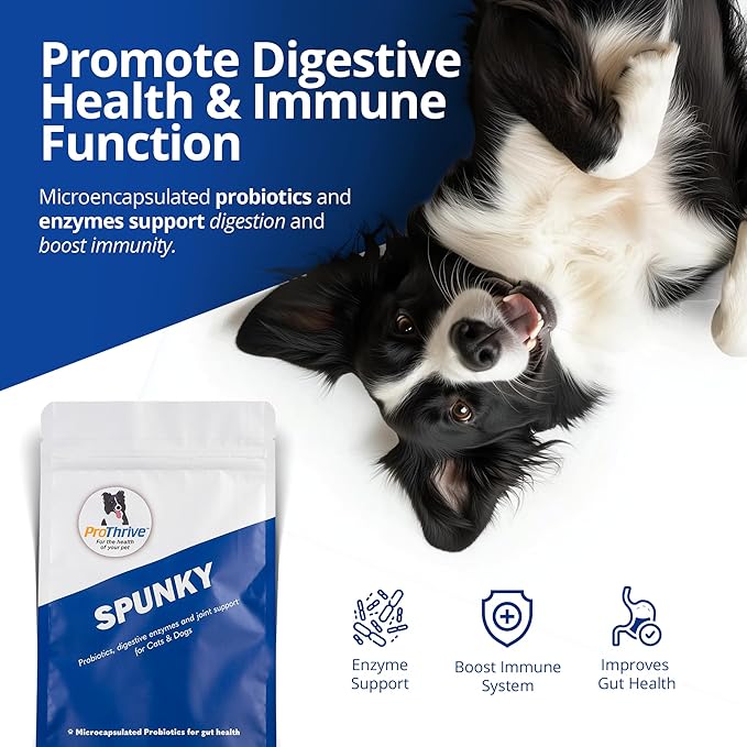 Spunky Digestive Supplement - Probiotics Digestive Enzymes Joint Support for Cats and Dogs | Gut Health | Pet Probiotics for Dogs and Cats - 3lb