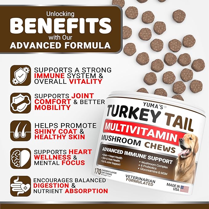 (2-Pack) Turkey Tail Mushroom for Dogs - 340 Count - Mushroom Chews for Dogs Lipoma Lumps and Bumps - Immune Health Digestive Skin Joint Vitamin Support Guard Buddy - Multivitamin Supplement
