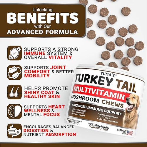 (2-Pack) Turkey Tail Mushroom for Dogs - 340 Count - Mushroom Chews for Dogs Lipoma Lumps and Bumps - Immune Health Digestive Skin Joint Vitamin Support Guard Buddy - Multivitamin Supplement
