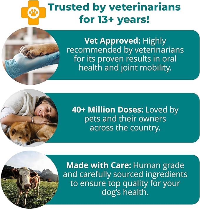 1TDC WorksSoWell Dual Action Hip and Joint Supplement for Dogs &amp Cats - for Large &amp Small Breed - Great for Oral Health Stamina Recovery &amp Arthritis Pain Relief -60 ct