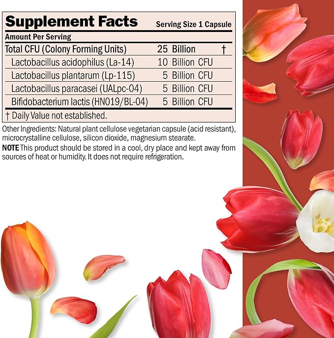 ANDREW LESSMAN Ultimate Friendly Flora Probiotic 240 Capsules - 25 Billion CFU Comprehensive Blend of Five Probiotic Strains Powerful Immune and Digestive Support. Probiotics for Women or Men