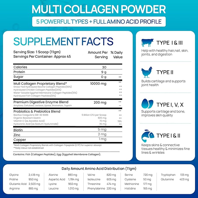 Collagen Peptides Powder for Hair Skin Nails Joints &amp Digestion – Multi-Collagen Types I II III V &amp X with Biotin Hyaluronic Acid &amp Vitamin C – Unflavored Sugar-Free (1.1 lb / 500g