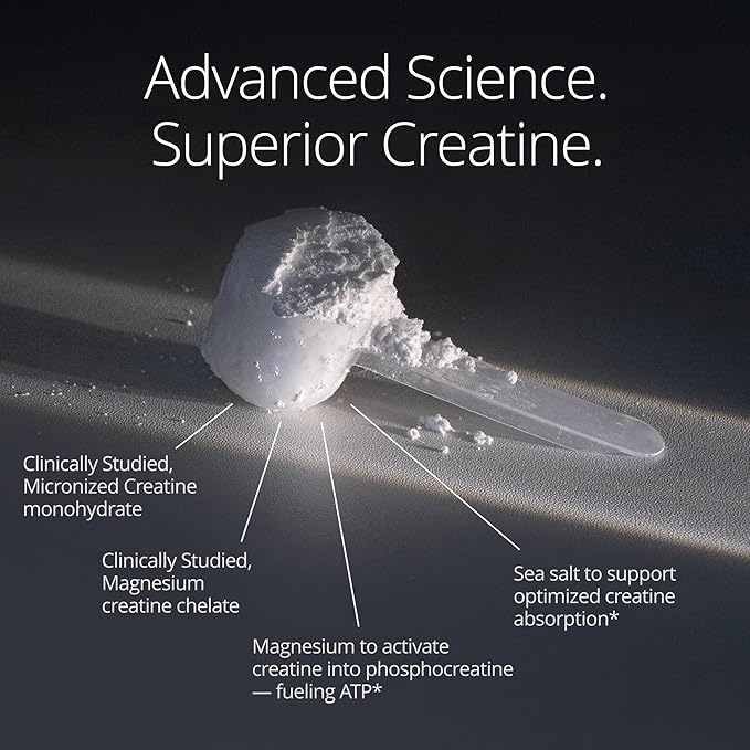 Qualia Creatine | Advanced Creatine Complex | 2 Sources + Magnesium | Optimized Absorption | Muscle Performance Brain Function &amp Healthy Aging (30 Servings)