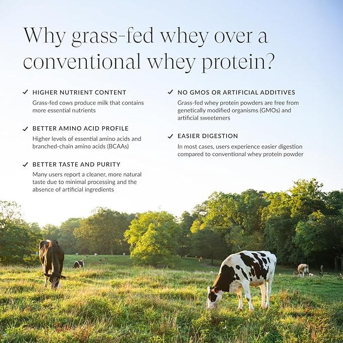 Beam Grass Fed Whey Protein Powder – Chocolate Peanut Butter 12 Servings 22g Protein Per Serving Clean Whey Isolate &amp Concentrate Low Carb Paleo Friendly GMO Free Gluten Free 3rd Party Tes