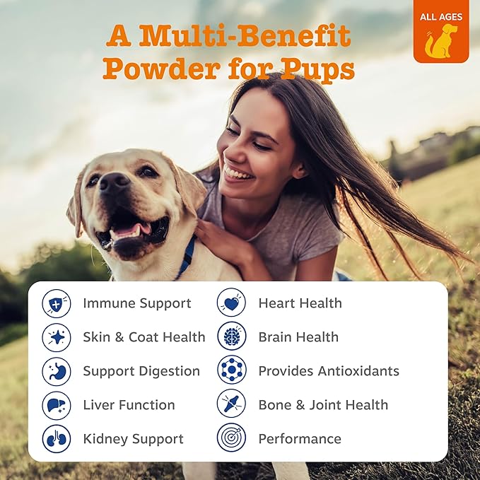 Zesty Paws 10-in-1 Dog Multivitamin - Gut Immune Joint Skin &amp Coat Support and More - Dog Vitamins and Supplements Powder - Pet Supplements with Omega Fish Oil &amp VitaFiber - Salmon - 30 Ct
