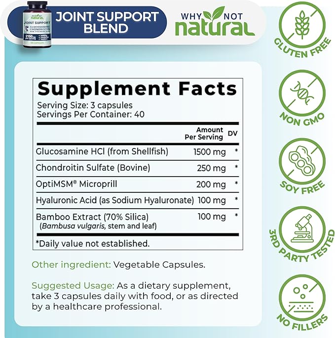 Why Not Natural Glucosamine Chondroitin MSM Joint Support Supplements - Knee Pain Joints Health Suppplement